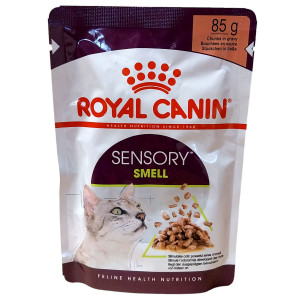 Royal Canin Sensory smell in Soße 85 g